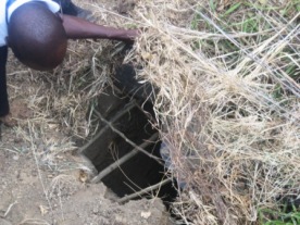 The poachers trap we discovered